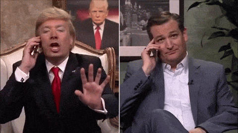 Donald Trump's Phone Call with Ted Cruz animated gif