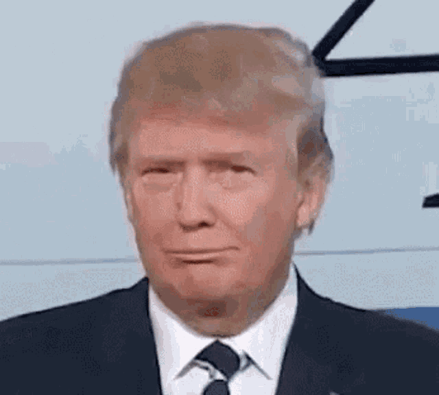 Donald Trump Smirk GIF - Donald Trump Smirk - Discover & Share GIFs