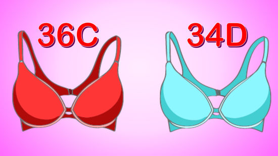 Image result for bra sizes