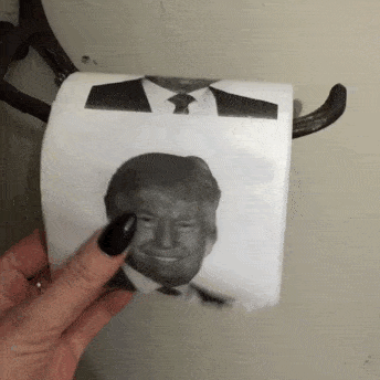 Image result for toilet paper gif