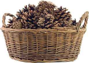 Image result for basket of pine cones