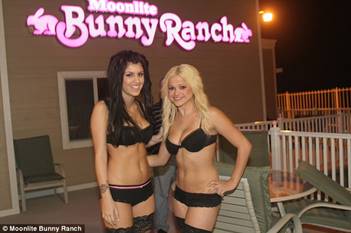 Image result for bunny ranch