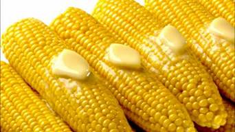 Image result for corn on the cob