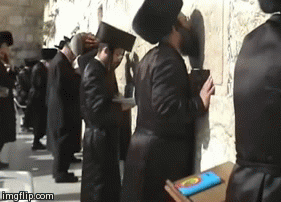 Image result for hasidic jew gif