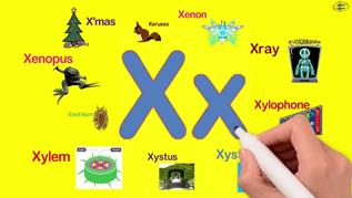 Image result for words that begin with x