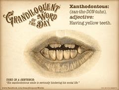 Image result for xanthodontous