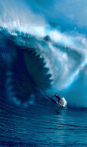 Image result for the surf gif