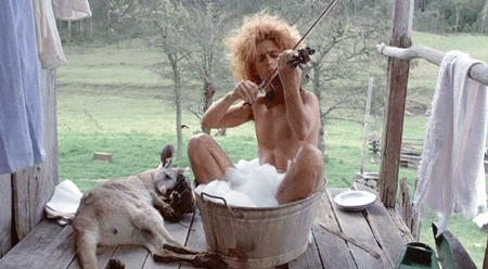 Image result for yahoo serious gif