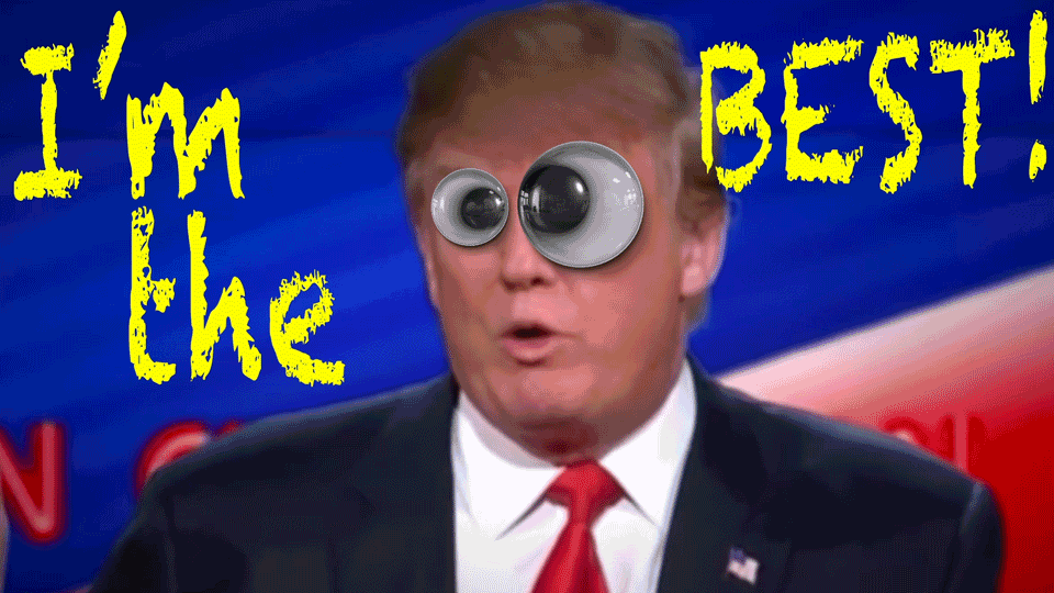 Donald trump crazy hilarious GIF on GIFER - by Danos