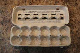 Used Egg Cartons - Picture 1 of 2
