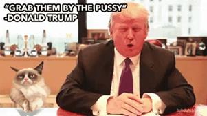 Grab Them By The Pussy GIF - Pussy Donald Trump Grab - Discover & Share GIFs