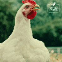 Surprise What GIF by Foster Farms