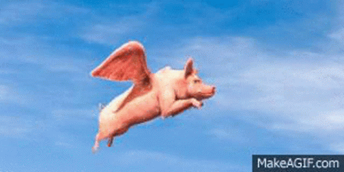 Pig Fly GIF - Pig Fly When Pigs Fly - Discover & Share GIFs
