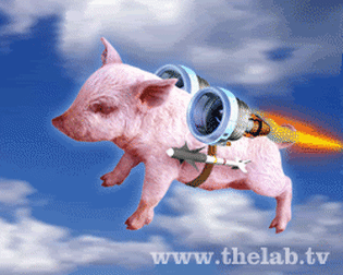 Best Pig Flying Gif GIFs | Gfycat