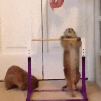 Motivation GIFs - Get the best GIF on GIPHY
