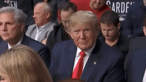 Trump-thumbs-up GIFs - Get the best GIF on GIPHY