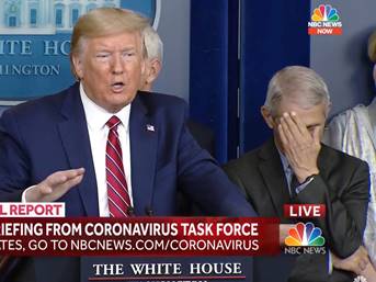 Dr. Anthony Fauci Did a Facepalm During Trump's Coronavirus Briefing