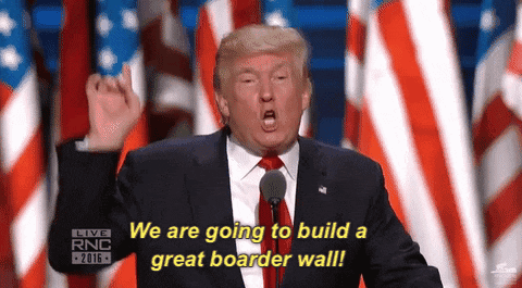 Build-a-wall GIFs - Get the best GIF on GIPHY