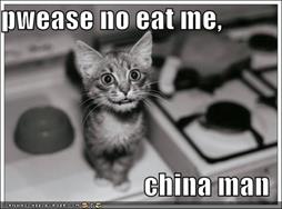 Image result for chinaman eating things that are alive gif